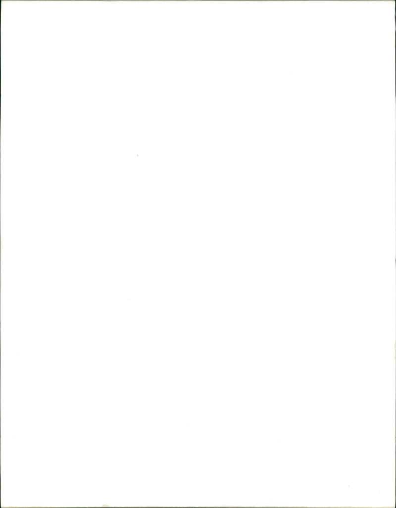 Cake District. - Vintage Photograph