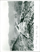 Cake District. - Vintage Photograph