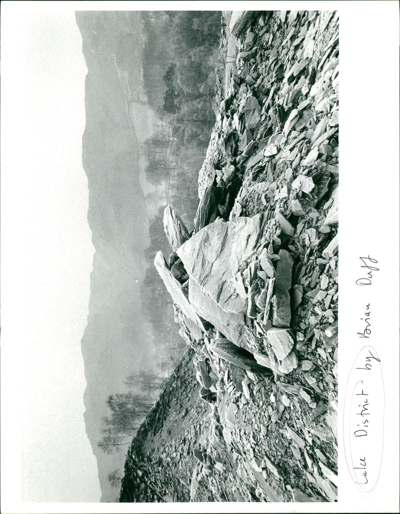 Cake District. - Vintage Photograph