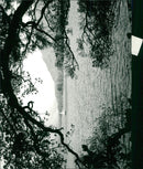 Sailing on Ullswater, Lake District. - Vintage Photograph