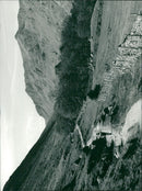 The path up with Nethermost Pike and Dollywaggon Pike, outliers of Helvellyn, beyond. - Vintage Photograph