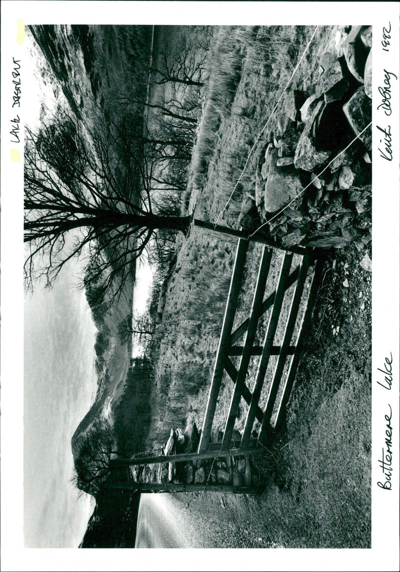 The Lake District. - Vintage Photograph