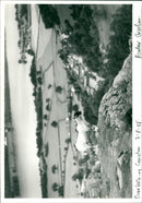 The Lake District. - Vintage Photograph