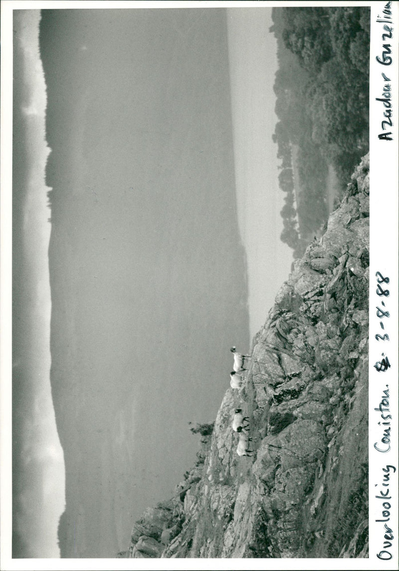 The Lake District. - Vintage Photograph