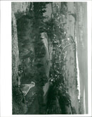 The Lake District. - Vintage Photograph