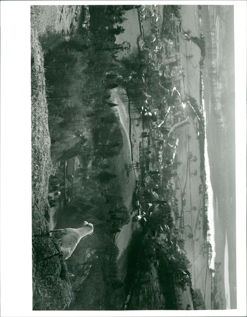 The Lake District. - Vintage Photograph