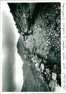 The Lake District. - Vintage Photograph