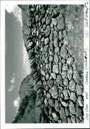 The Lake District. - Vintage Photograph