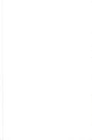 Scriptwriter David E. Kelley with his wife Michelle Pfeiffer at the premiere of &quot;Till Gillian on her 37th birthday&quot; - Vintage Photograph