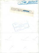 Naima Wifstrand with his dog - Vintage Photograph