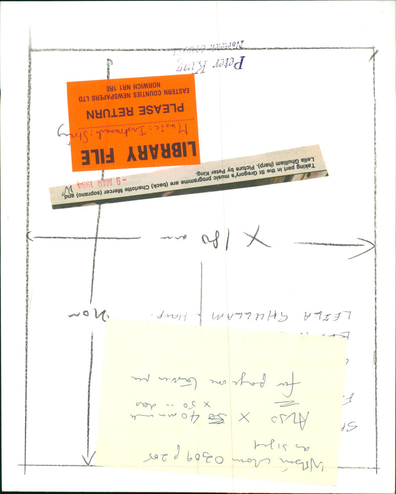 'Harp' Musical String - Vintage Photograph