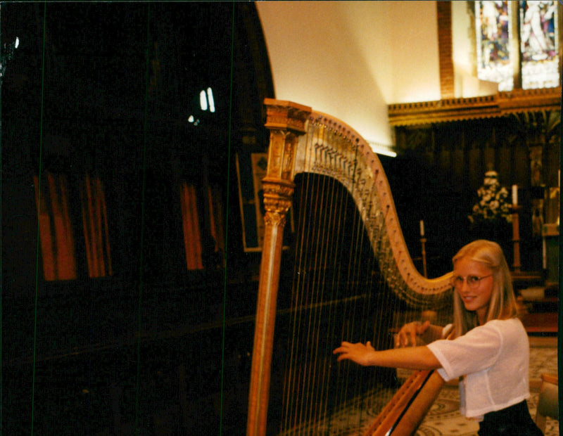 'Harp' Musical String - Vintage Photograph