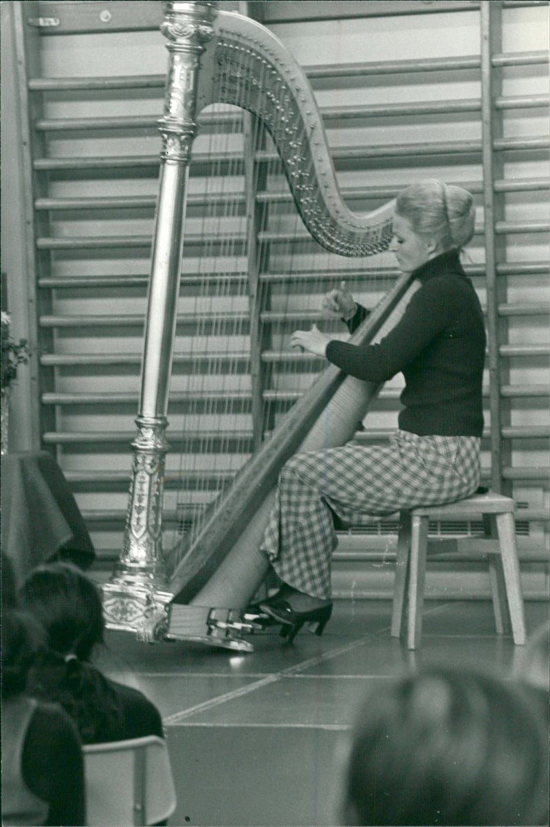 'Harp' Musical String - Vintage Photograph