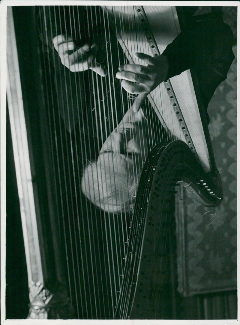 'Harp' Musical String - Vintage Photograph