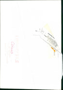 Animal Circus, Elephant - Vintage Photograph