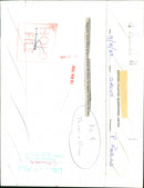 Circus Animals - Vintage Photograph