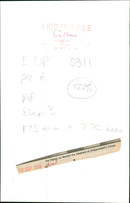 Ripley on Sandra the elephant at Chipperfield's Circus - 1 September 1933 - Vintage Photograph