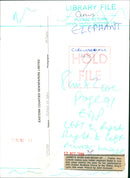 JUMBO'S WASH-AND-BRUSH-UP - Vintage Photograph