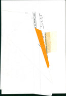 Circus Animal, Monkey - Vintage Photograph