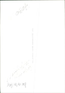 Circus Animal, Tiger - Vintage Photograph