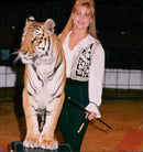 Circus Animal, Tiger - Vintage Photograph