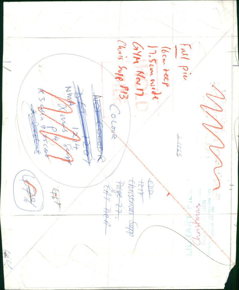 View of cat in the basket. - Vintage Photograph