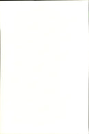 The bass player Earvin &quot;Magic&quot; Johnson - Vintage Photograph