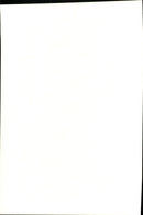 The bass player Earvin &quot;Magic&quot; Johnson - Vintage Photograph