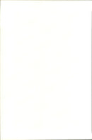 The bass player Earvin &quot;Magic&quot; Johnson - Vintage Photograph