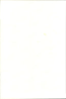 The bass player Earvin &quot;Magic&quot; Johnson - Vintage Photograph