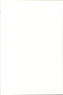 The bass player Earvin &quot;Magic&quot; Johnson with his wife - Vintage Photograph