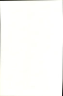 The bass player Earvin &quot;Magic&quot; Johnson with his wife - Vintage Photograph