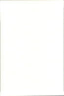 The bass player Earvin &quot;Magic&quot; Johnson - Vintage Photograph