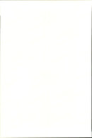 The bass player Earvin &quot;Magic&quot; Johnson - Vintage Photograph