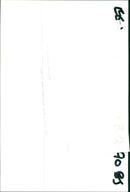 MUSIC INSTRUMENTS- BRASS - Vintage Photograph