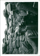 British soldiers inspecting something during The Battle of Messines in 1917 - Vintage Photograph