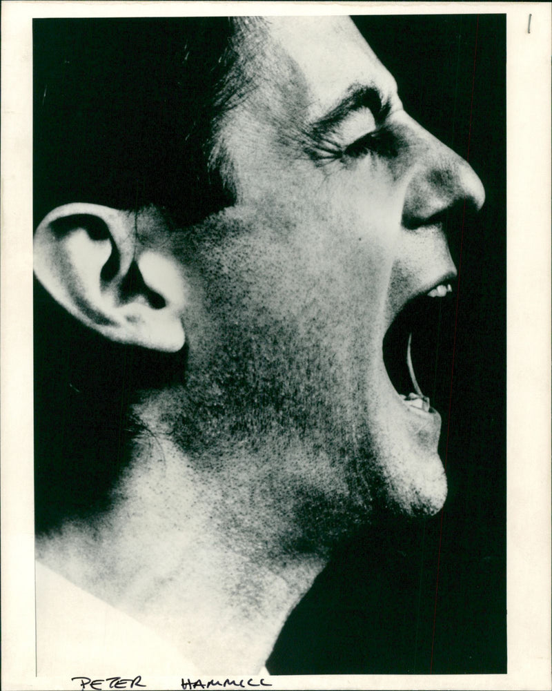 Close up of English singer and musician Peter Hammill - Vintage Photograph