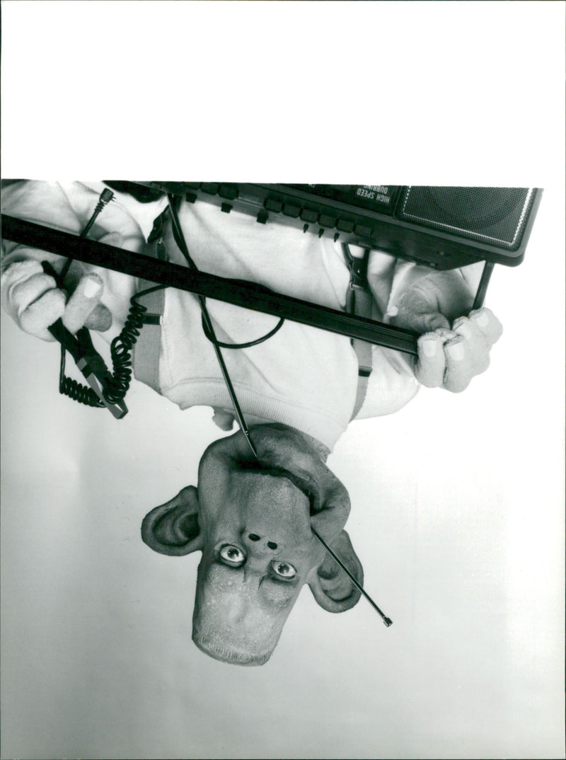 Dizzy Heights - Vintage Photograph