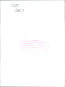 Cats BBC2. - Vintage Photograph