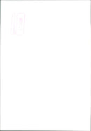 Wivenhoe Park. - Vintage Photograph