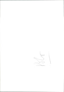 Polo - Vintage Photograph