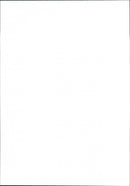 Ida Nudel. - Vintage Photograph