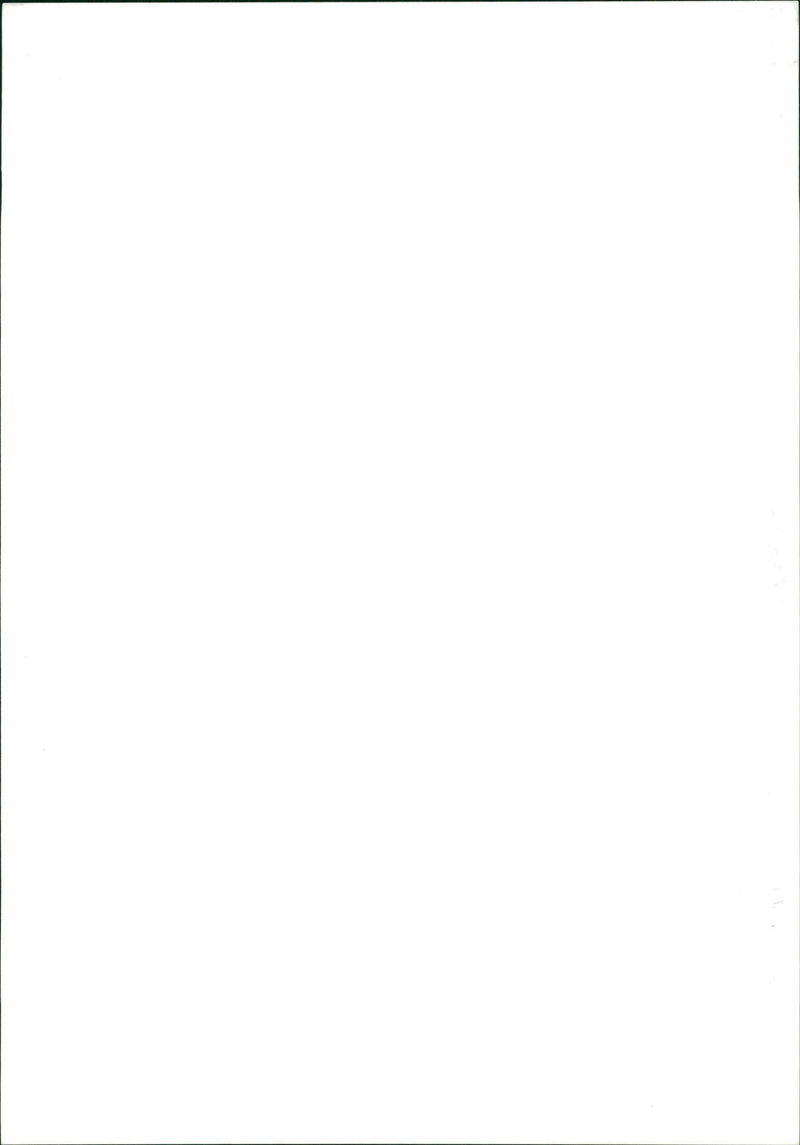 Madagascar hissing cockroach - Vintage Photograph