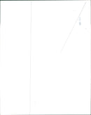 Whoopi Goldberg with Ted Danson in Made in America - Vintage Photograph