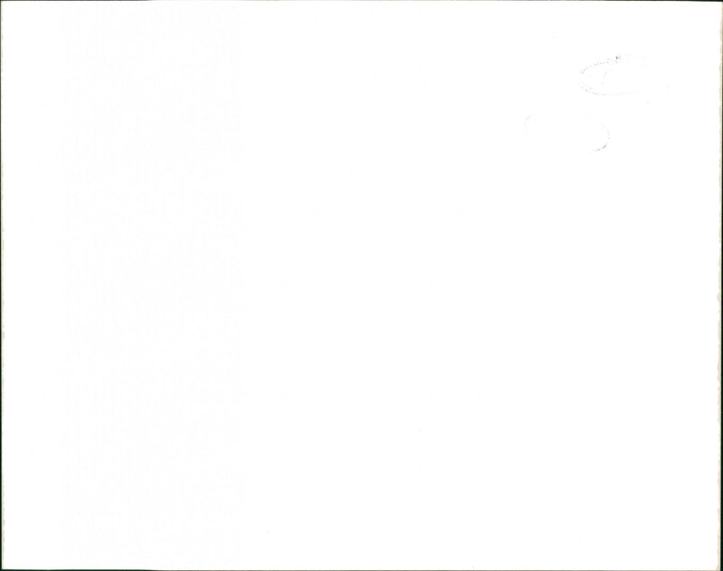 ELVIS , ELVIS - Vintage Photograph