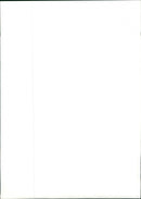 American football players, Eric Kumerow, Bob Brudzinski and Steve Young - Vintage Photograph