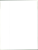 American football player Robert Perryman, John Stephen and Leon White - Vintage Photograph