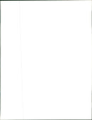 American football players, Tim Sherwin(L) & Jack Trudeau - Vintage Photograph