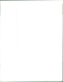 Alfred Ellis Gross, Jr and Charles Lockett in American football - Vintage Photograph