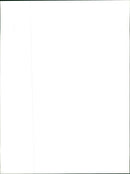 Richard Rennard Nattiel known as Ricky Nattiel in american Football - Vintage Photograph